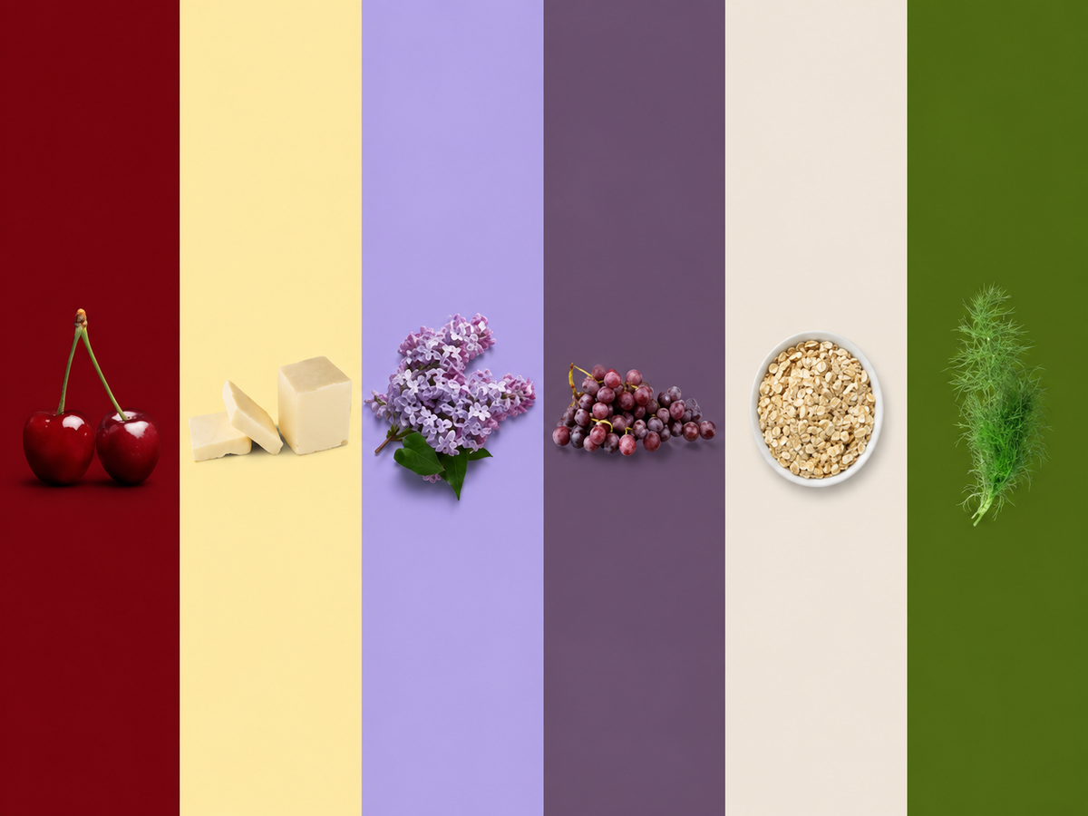 2025 Color Trends for Your Color Season