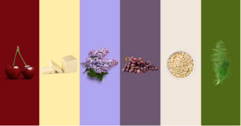 2025 Color Trends for Your Color Season