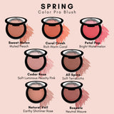 Makeup - Color Pro Blush
